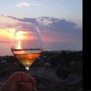 Il passito di Ischia dei Giardini Arimei al pranzo dei 27 leader europei