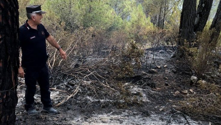 Brucia rifiuti in campagna e provoca un incendio di 4 ettari: denunciato un 87enne in Cilento 