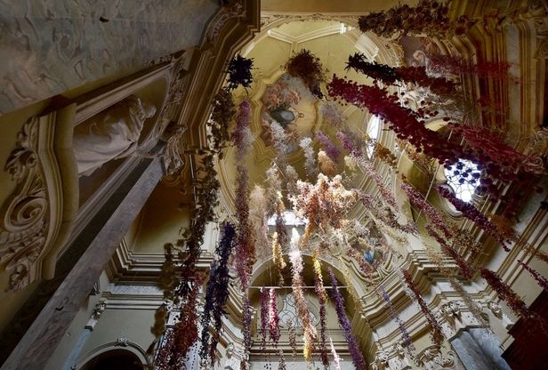 Parma, l'arte rinasce nel segno della natura con Florilegium - Foto 