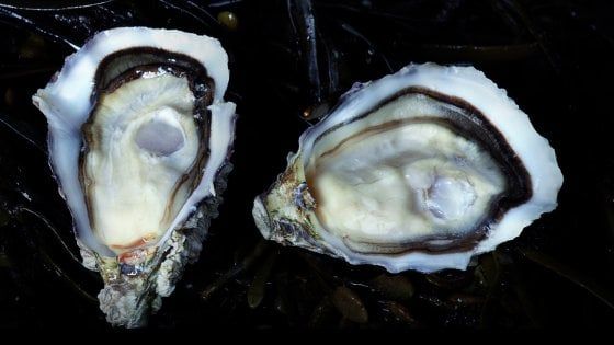 Dal gin al caviale, l'Italia sfida gli originali (e prova a fare meglio)