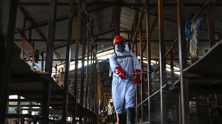 Ebola, l’Oms alza il livello di allerta. Gli Usa bloccano i voli da alcuni Paesi colpiti in Africa