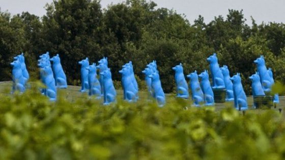 Vigne d'artista: quando i filari sono una galleria a cielo aperto 