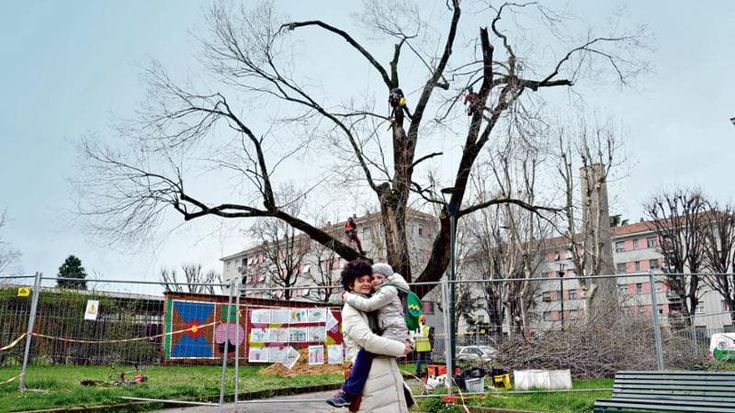 Adottato l’albero che il Comune voleva abbattere: la fotografa Cristina Melandri si prenderà cura dell’olmo di Villapizzone (insieme agli esperti)
