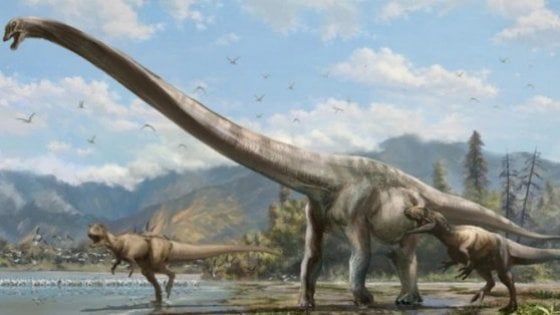 L'Italia è emersa prima ed era fatta di isole tropicali, congresso di paleontologia a Benevento
