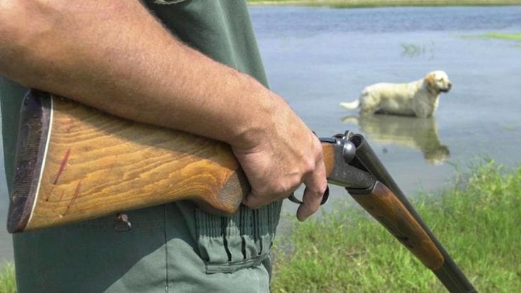 Cacciatore spara sull’alta tensione e mette un paese al buio