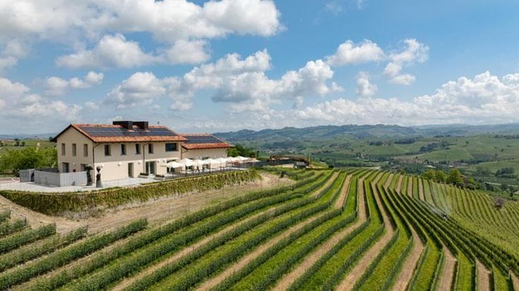 Bruno Ceretto chiude il cerchio: un ristorante nelle vigne per unire arte, vino e cibo