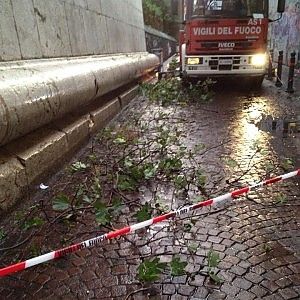 Transennata torre Santa Chiara per rimuovere degli arbusti