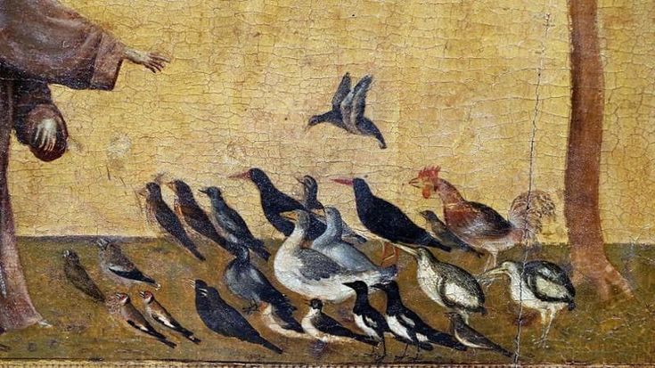 La rivoluzione di Francesco e la santità della natura