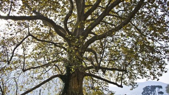 Giornata mondiale dell'ambiente 2016, il mondo come lo vorreste (e non)