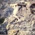 Monterosso, si staccano pezzi della Statua del Gigante