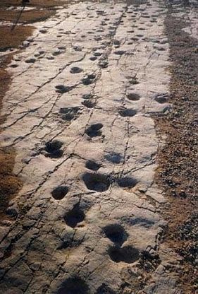 Cava dei Dinosauri, la strada &egrave; salva<br />e il Comune rilancia per l'esproprio