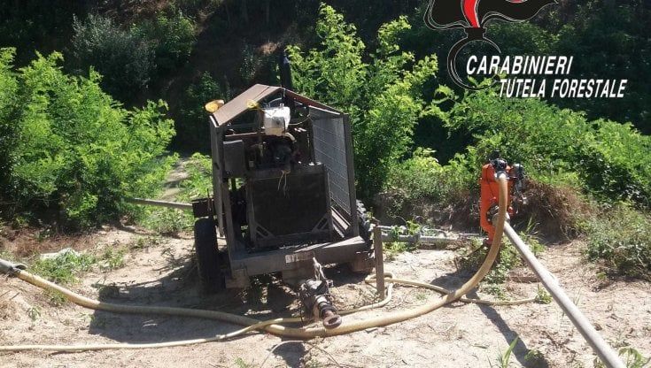 Monferrato, ladri l'acqua dal torrente Belbo per i campi di pomodori. Due agricoltori denunciati