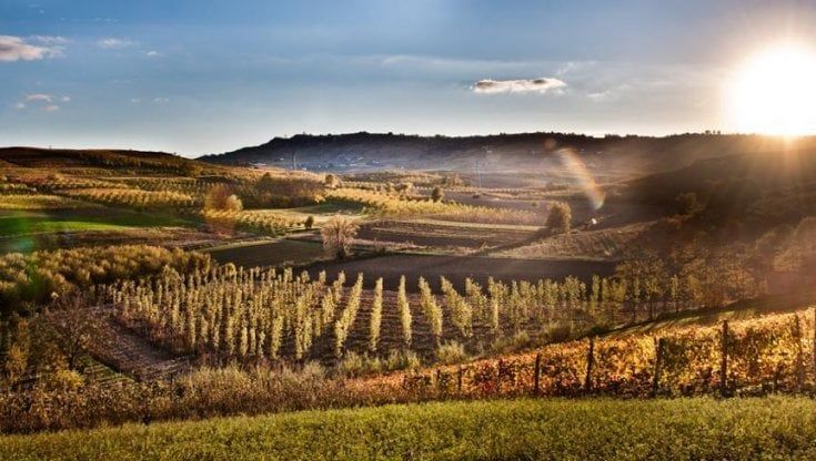 Cibo, vino, arte: un turista su due vuole andare in Piemonte