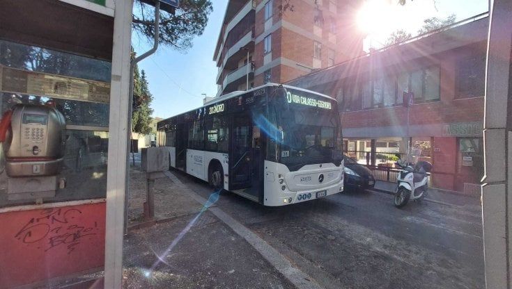 "Il 20 salta troppe corse": a Rifredi scoppia la protesta contro il bus lumaca