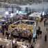 Cosplay, manga, cartoni: il regno della fantasia invade il pianeta Romics