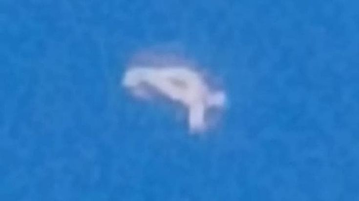 Un oggetto luminoso nel cielo di Bari, foto e video sui social: “È un ufo”. L’esperto: “Un drone”