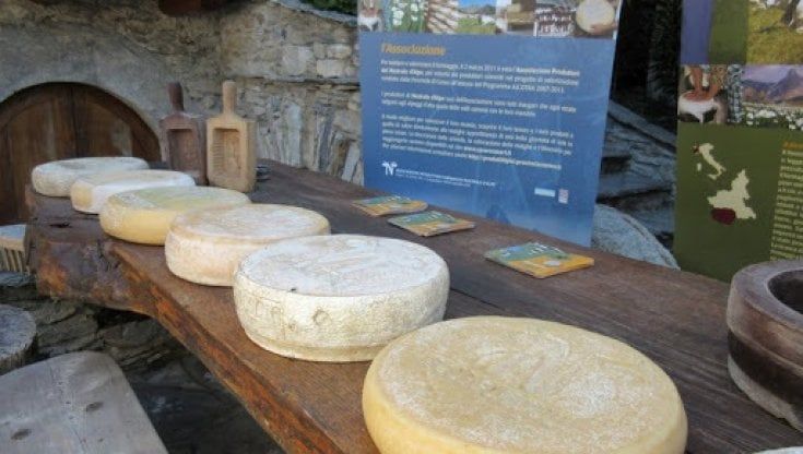 Ostana, Cuneo e i quattro moschettieri dei formaggi 