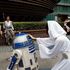 Jedi, Stormtrooper e principesse: è lo 'Star Wars Day' 