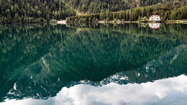 Salvaguardare i pesci nelle zone centro-alpine: il progetto ALFFA