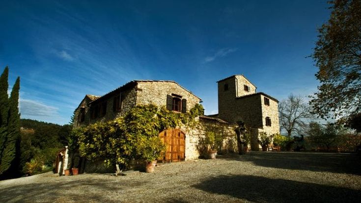 Nittardi Vigna Doghessa 2021, arte e vino. Per i fratelli Léon e Damiano Femfert è una storia di famiglia