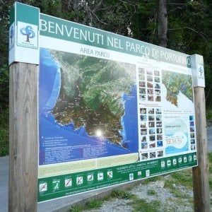 Parco di Portofino, la Regione cancella le aree "cuscinetto" protette a Santa Margherita