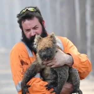 L'agenzia d'informazione australiana AAP: una colletta per sopravvivere. Fondata da Keith Murdoch, minacciata da Rupert