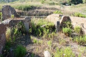 Emergenza agli Scavi di Velia:<br />erbacce, incuria, degrado