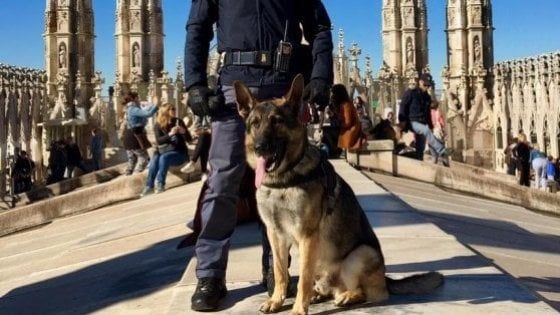 Arrivano i cani poliziotto, panico tra i pusher che lasciano la droga e se la danno a gambe