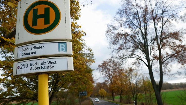 Catturato il "cannibale di Berlino", le ossa della sua vittima ritrovate in un parco