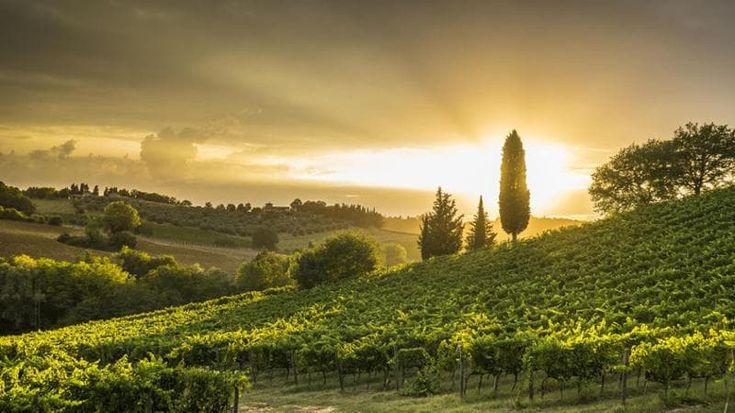 Economia verde: "In Italia difficoltà, ritardi e pochi dati positivi"