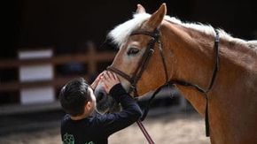 Autismo, la calma che arriva a cavallo