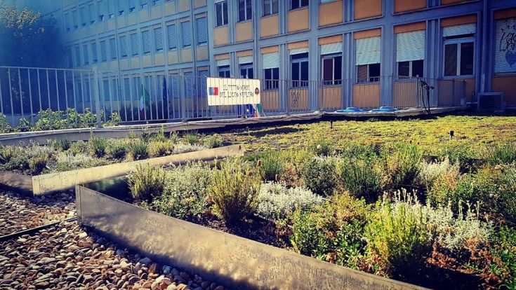Un tetto verde sulla scuola, così studenti e residenti coltivano fiori e piante