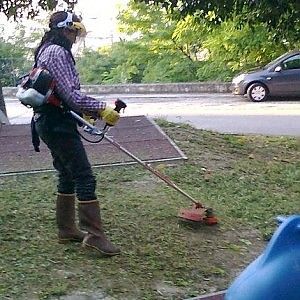 Erba alta nei giardini, gli appalti al ribasso frenano gli interventi