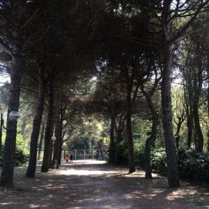 Al via il Festival-Mercato del Benessere in Bolognina