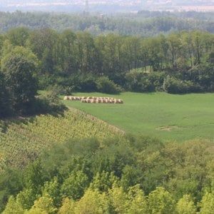 Confagricoltura Benevento, sequestrati beni per 537mila euro