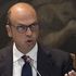 Ius soli, Alfano: 