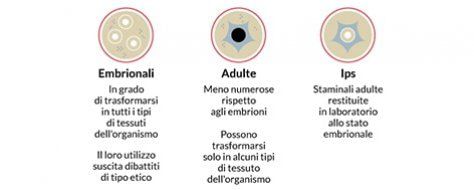 I vari tipi di staminali e le loro attuali applicazioni