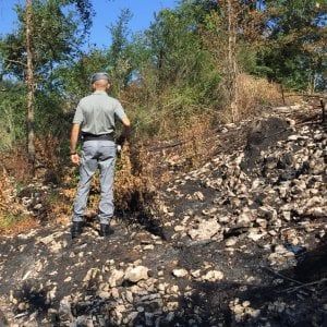 Castellabate, bloccato piromane settantenne