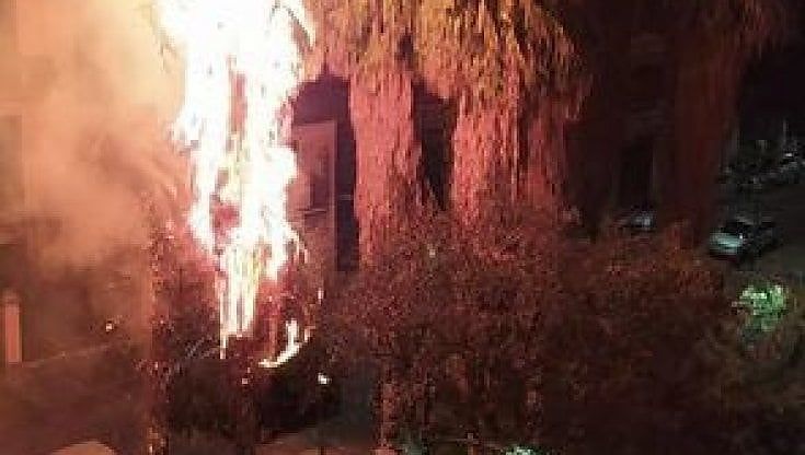 A Bagnoli due palme incendiate: la paura del quartiere