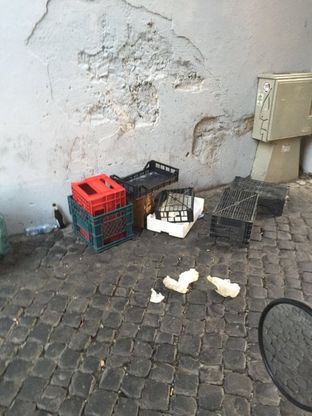 Roma, rifiuti Trastevere. L'allarme dei commercianti