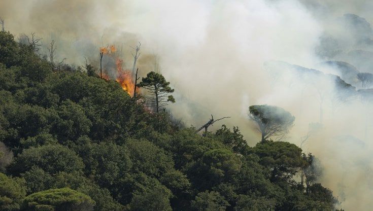 Volontario antincendi appicca rogo: denunciato nel Salernitano