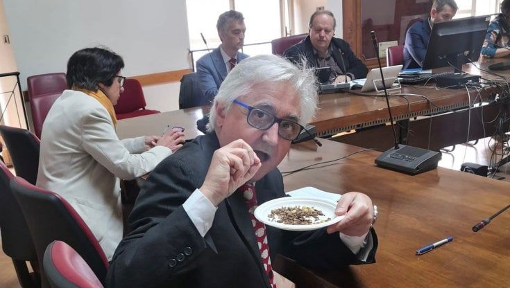 "Grilli nel menu delle scuole materne": la provocazione (o no?) di Viale in Consiglio comunale