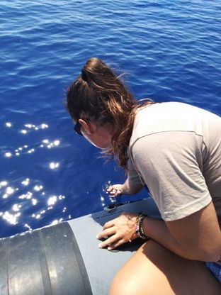 Ascea Marina, i bagnanti salvano una tartarughina appena nata