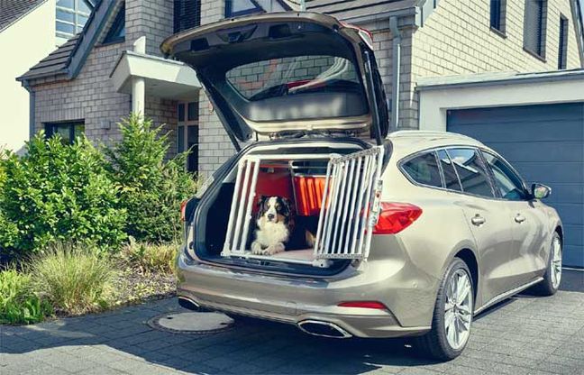 Nuova Ford Focus wagon, a prova di cane