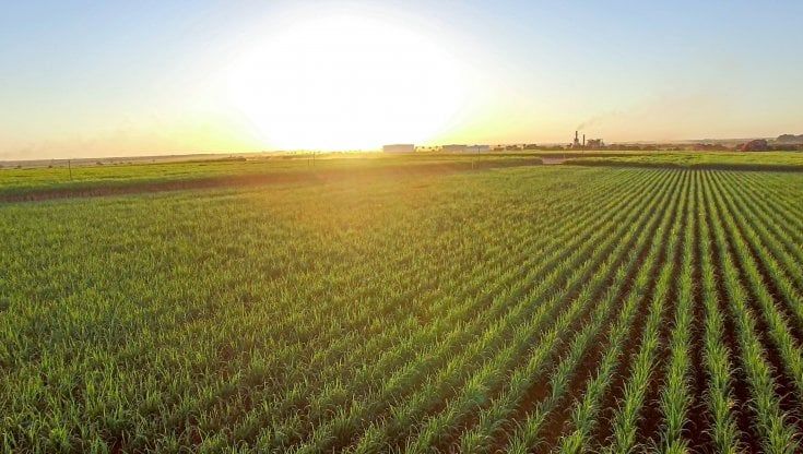 Finanziamento green di 50 milioni di euro per Italia Zuccheri – Coprob