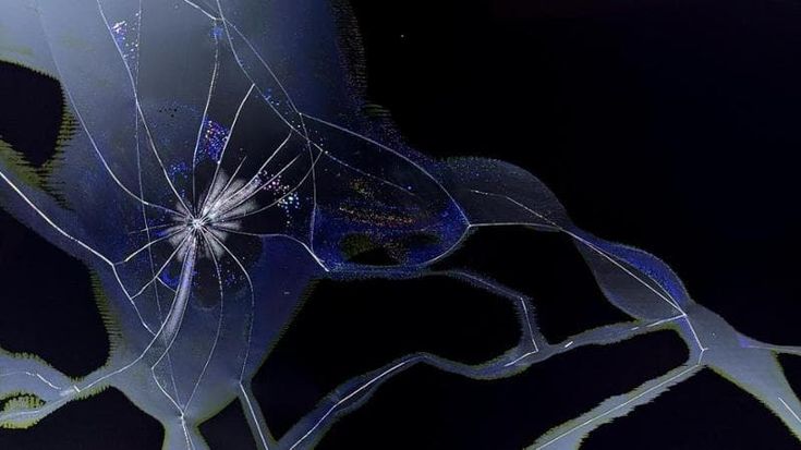 Dal cosmo ai monitor, al Rifugio Digitale “Fragile: sedici atlanti della rottura”