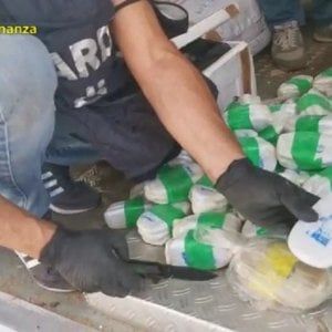 Sequestrata droga al porto di Salerno per 40 mila euro