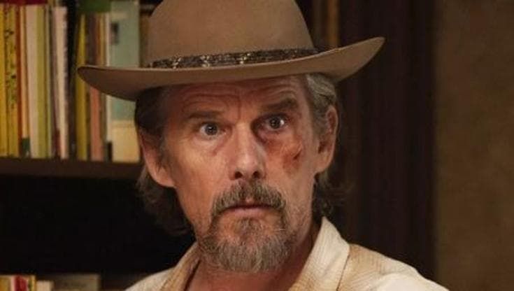 “The lowdown”, arriva la serie che non sapevi di adorare