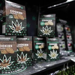 Cannabis light, gestore di un negozio sotto sequestro si incatena nel Casertano