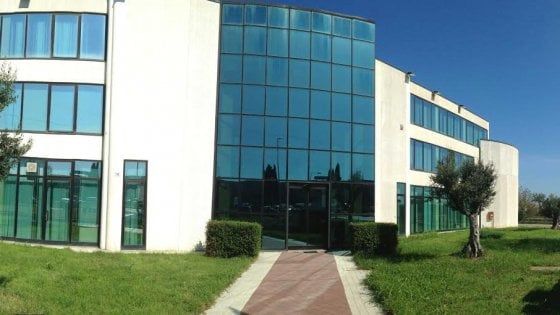 L'Amazon della Romagna che salva gli artigiani Made in Italy